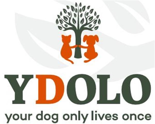 1.4. Ydolo hondenvoeding